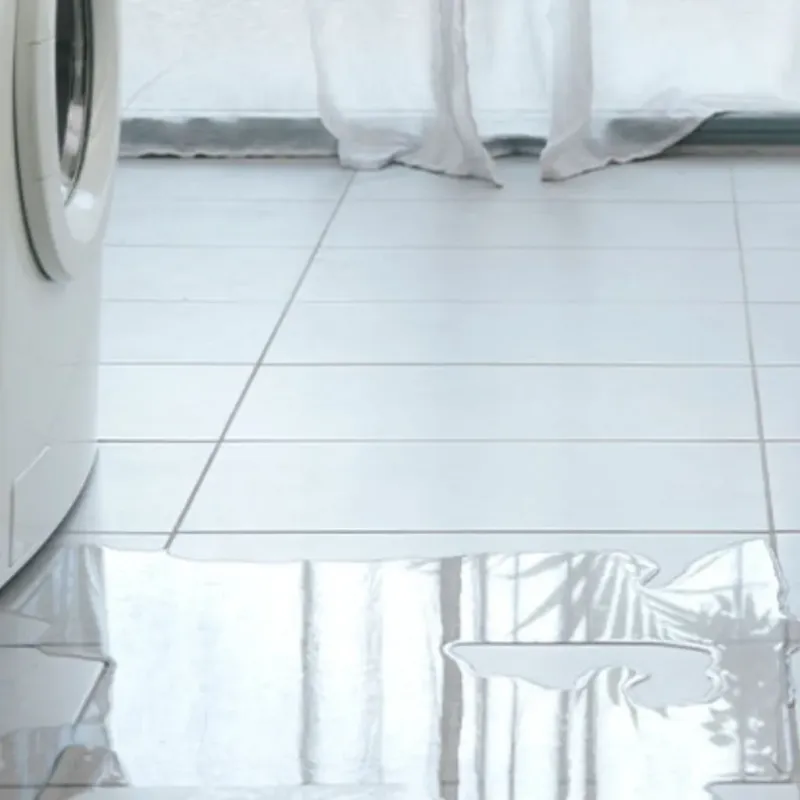 Appliance Leak Cleanup in Cosmopolis, WA